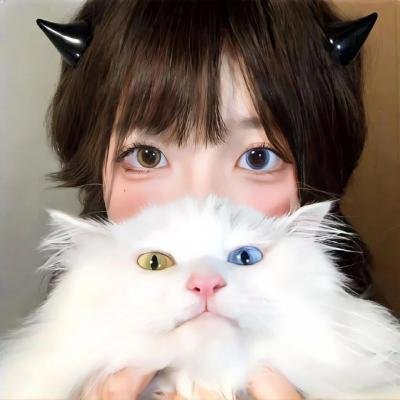 非常家务事